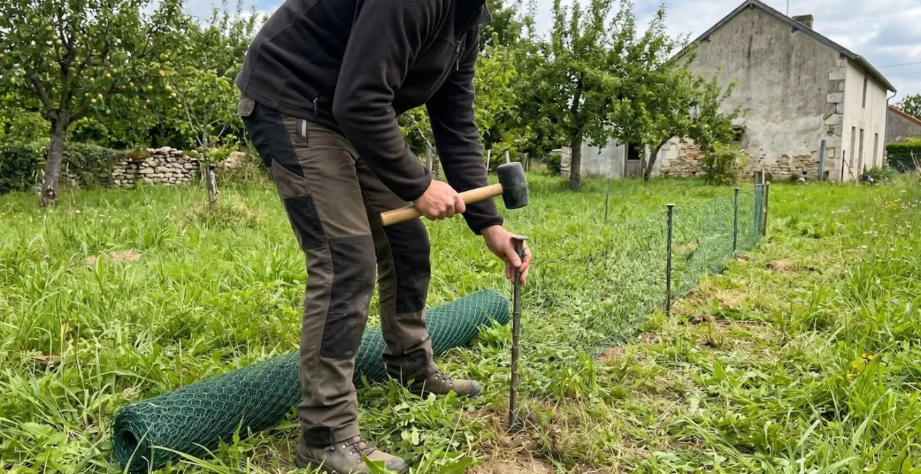 Personne vue de dos enfonçant un piquet à double pointe dans le sol d'un jardin pour fixer un filet à poules